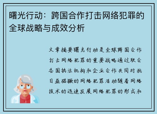 曙光行动：跨国合作打击网络犯罪的全球战略与成效分析