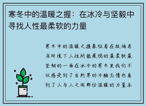 寒冬中的温暖之握：在冰冷与坚毅中寻找人性最柔软的力量